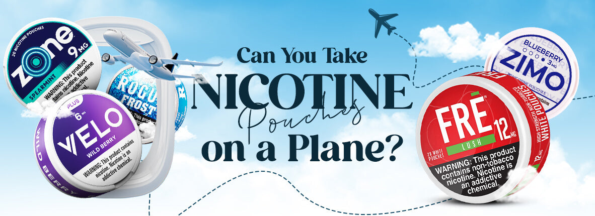 Can You Take Nicotine Pouches on a Plane?