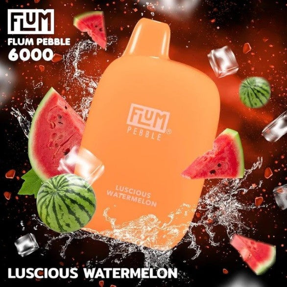 FLUM FLOAT PEBBLE 6000 Puff Disposable Vape