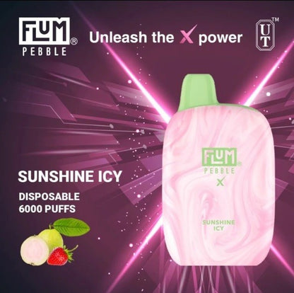 FLUM FLOAT PEBBLE 6000 Puff Disposable Vape
