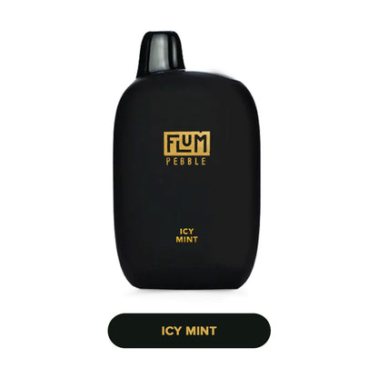 FLUM FLOAT PEBBLE 6000 Puff Disposable Vape